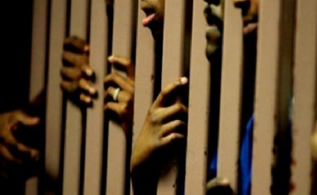 Ils ont subtilisé 156 cartons de poissons : Des malfrats écopent d’une peine de 2 ans de prison ferme Ils ont subtilisé 156 cartons de poissons : Des malfrats écopent d’une peine de 2 ans de prison ferme