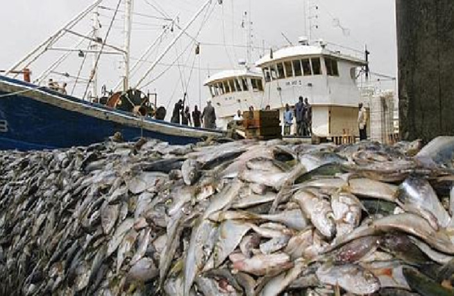 254.770 tonnes de déchets en mer par an, farine de poisson en quantité, surexploitation…: Les eaux marines sénégalaises, en sursis