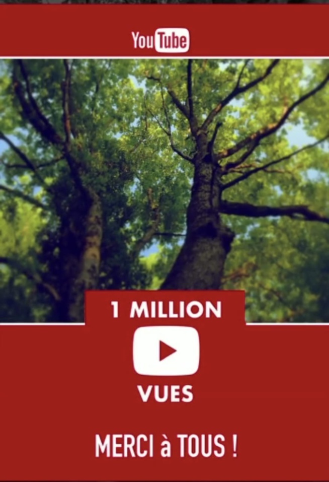 Le clip Tek Gui de Coumba Gawlo, parmi les meilleures tendances, dépasse un million de vues