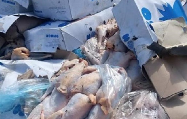 Thiès Le poulet vendu dans des conditions d’hygiène lamentables : Le Service d’hygiène lance une opération coup de poing Thiès Le poulet vendu dans des conditions d’hygiène lamentables : Le Service d’hygiène lance une opération coup de poing