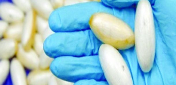 Les femmes impliquées à hauteur de 35% dans la chaîne de trafic de drogue Les femmes impliquées à hauteur de 35% dans la chaîne de trafic de drogue