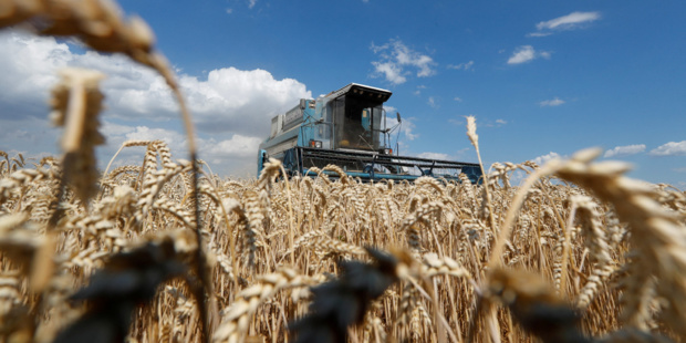 Conflit en Ukraine : Les effets sur la sécurité alimentaire se font déjà sentir au Proche-Orient et Afrique du Nord Conflit en Ukraine : Les effets sur la sécurité alimentaire se font déjà sentir au Proche-Orient et Afrique du Nord