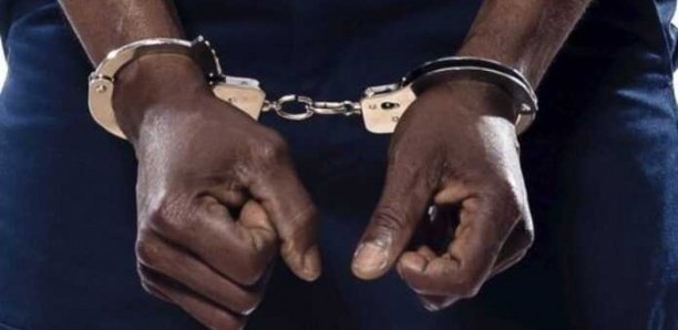 Zac Mbao : les responsables du garage des maliens dans le viseur d'un redoutable cartel de drogue Zac Mbao : les responsables du garage des maliens dans le viseur d'un redoutable cartel de drogue