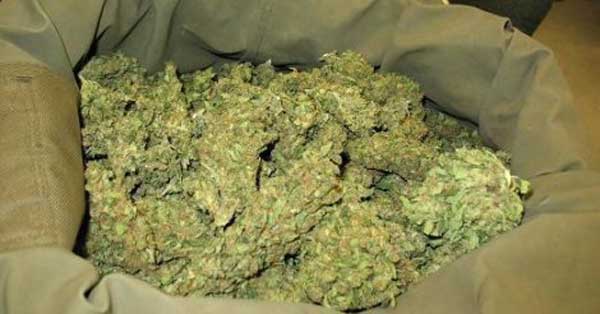 Après un vol de leur yamba: Des dealers tuent un trafiquant à Ngaparou Après un vol de leur yamba: Des dealers tuent un trafiquant à Ngaparou