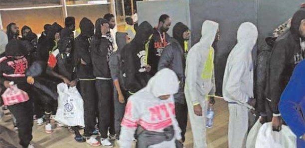 Allemagne-Espagne : Des Sénégalais expulsés, un vol spécial affrété pour... Allemagne-Espagne : Des Sénégalais expulsés, un vol spécial affrété pour...