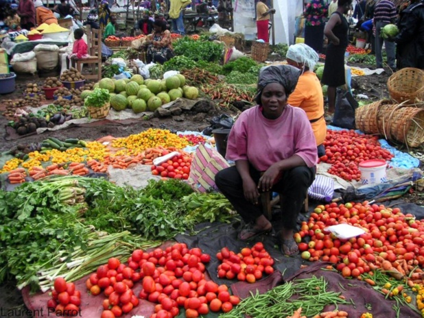 Par-delà le conflit, un plan pour la sécurité alimentaire de l'Afrique Par-delà le conflit, un plan pour la sécurité alimentaire de l'Afrique