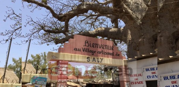 Chute d'un vieux baobab : Un drame évité de justesse au village artisanal de saly portudal