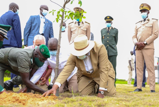 PRESERVATION DES FORETS Greenpeace Afrique salue l’engagement du président Macky Sall PRESERVATION DES FORETS Greenpeace Afrique salue l’engagement du président Macky Sall