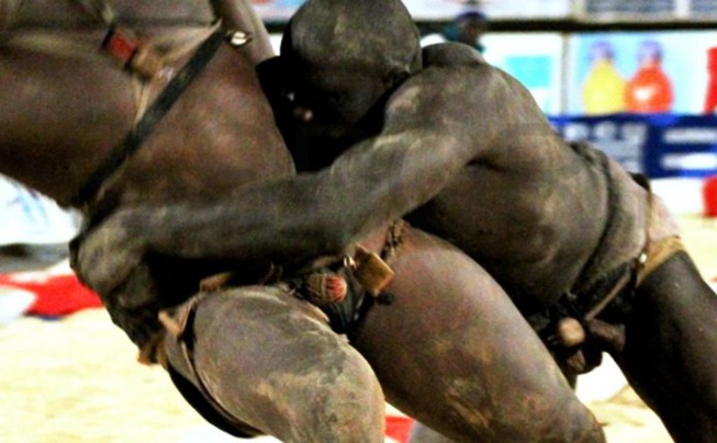 Sa femme dans le coma, le lutteur de l’écurie Lansar vole une charrette et un cheval pour Sa femme dans le coma, le lutteur de l’écurie Lansar vole une charrette et un cheval pour