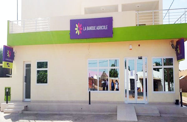 Financement de la campagne Contre Saison chaude Riz 2022: La Banque Agricole débloque plus de 7 milliards FCfa pour les producteurs de la Vallée Financement de la campagne Contre Saison chaude Riz 2022: La Banque Agricole débloque plus de 7 milliards FCfa pour les producteurs de la Vallée