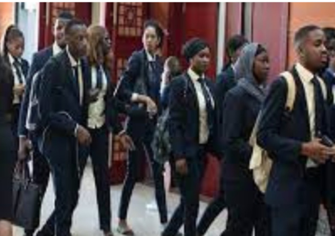 Prolifération des écoles de formation : L’équation de l’insertion des diplômés Prolifération des écoles de formation : L’équation de l’insertion des diplômés