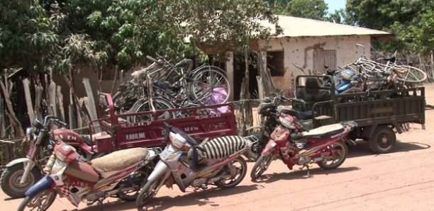 Bignona : Un espace forestier crée une vive tension entre populations des communes de Kataba 1 et de Djinaky Bignona : Un espace forestier crée une vive tension entre populations des communes de Kataba 1 et de Djinaky