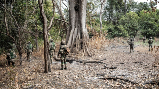 14.000 civils ont fui la Casamance 14.000 civils ont fui la Casamance