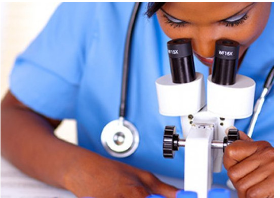 Création des écoles de formation en santé vers une rationalisation ! Création des écoles de formation en santé vers une rationalisation !