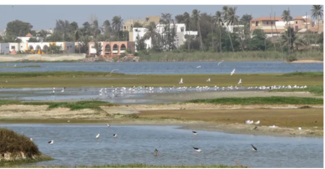 Technopôle de Pikine : La Dscos a sommé Eiffage d’arrêter les travaux Technopôle de Pikine : La Dscos a sommé Eiffage d’arrêter les travaux