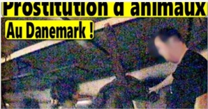 ZOOPHILIE: La prostitution des animaux avec les humains est légalisée au Danemark ZOOPHILIE: La prostitution des animaux avec les humains est légalisée au Danemark