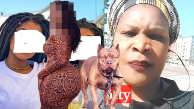 Allahou Akbar 40 filles Sénégalaises Sur l'Affaire de Dubaï Porta Potty ? Allahou Akbar 40 filles Sénégalaises Sur l'Affaire de Dubaï Porta Potty ?