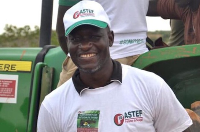 Abass Fall à Macky Sall : «Tu ne révoqueras personne ! » Abass Fall à Macky Sall : «Tu ne révoqueras personne ! »