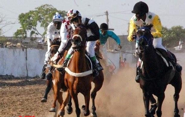 Course Hippique/ Grand Prix Lonase Ce Dimanche 15 Mai