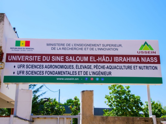 Université du Sine Saloum/ Affaire de détournement de fonds publics et d'enrichissement illicite : le Daf disculpé (Ofnac) Université du Sine Saloum/ Affaire de détournement de fonds publics et d'enrichissement illicite : le Daf disculpé (Ofnac)