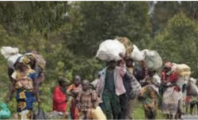 Appui des populations en Casamance : Djirack, le temps d’un retour définitif Appui des populations en Casamance : Djirack, le temps d’un retour définitif