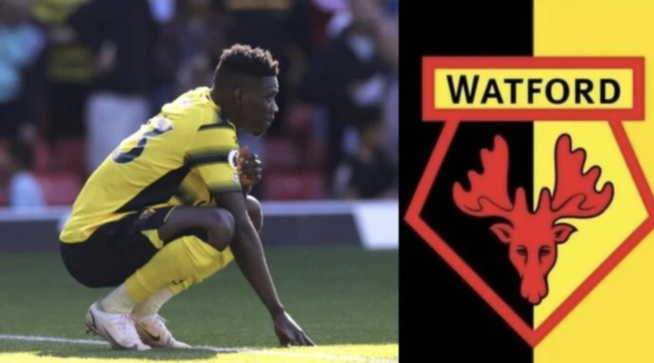 Affaire LGBT : La décision de Watford suite au soutien de Ismaila Sarr à Gana Guéye (communiqué) Affaire LGBT : La décision de Watford suite au soutien de Ismaila Sarr à Gana Guéye (communiqué)