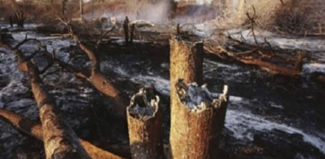 Feux de brousse au Ranch de Dolly : 300 ha du tapis herbacé consumés Feux de brousse au Ranch de Dolly : 300 ha du tapis herbacé consumés