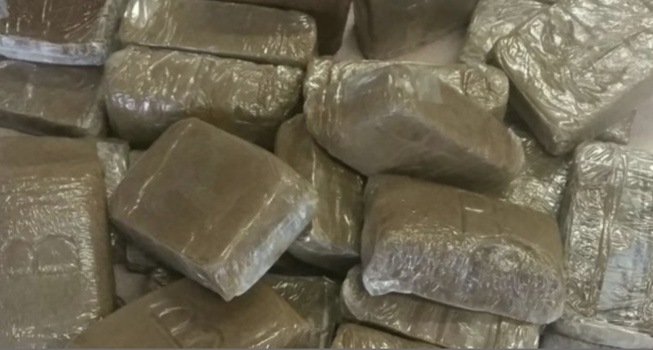 Drogue: La Douane opère à une nouvelle saisie Drogue: La Douane opère à une nouvelle saisie