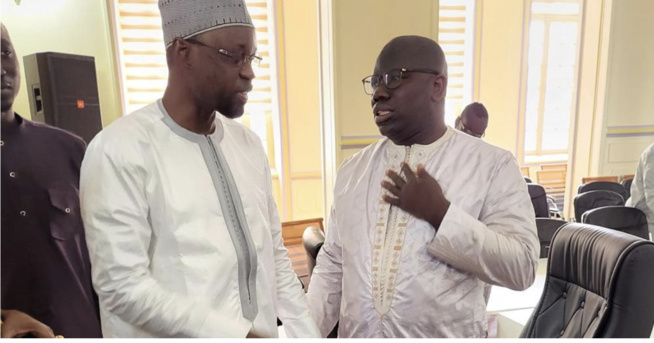 Ousmane Sonko : « Macky Sall ne connait que la confrontation, il n’a jamais gagné des élections depuis 2012 » Ousmane Sonko : « Macky Sall ne connait que la confrontation, il n’a jamais gagné des élections depuis 2012 »