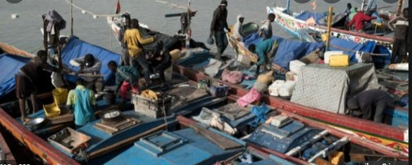 Pêche illégale : 39 pirogues en détention en Guinée Pêche illégale : 39 pirogues en détention en Guinée