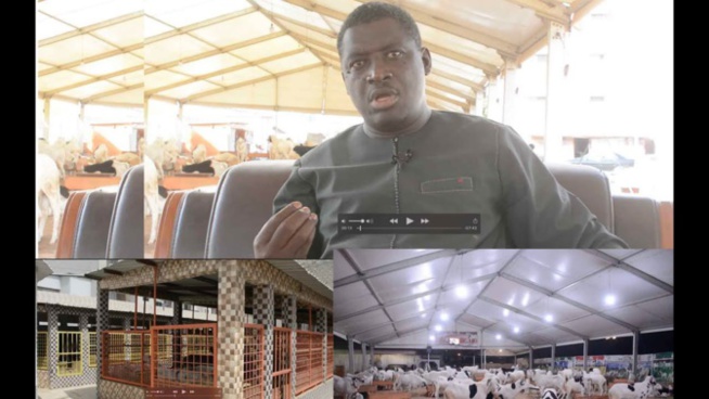 Environnement-Assainissement : Bergerie Khadim Rassoul en collaboration avec l’UCG, pour une Tabaski sans déchets Environnement-Assainissement : Bergerie Khadim Rassoul en collaboration avec l’UCG, pour une Tabaski sans déchets