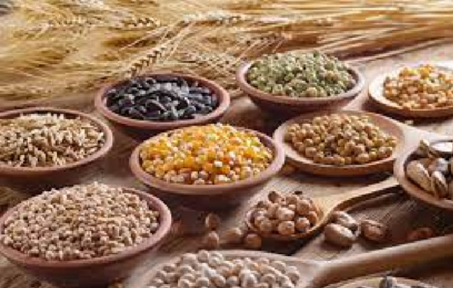 Situation alimentaire en Afrique de l’Ouest : Des stocks de céréales au plus bas Situation alimentaire en Afrique de l’Ouest : Des stocks de céréales au plus bas