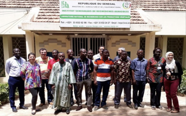 Blocage des réformes de l’ISRA : Le Dg accusé de violer la directive présidentielle Blocage des réformes de l’ISRA : Le Dg accusé de violer la directive présidentielle