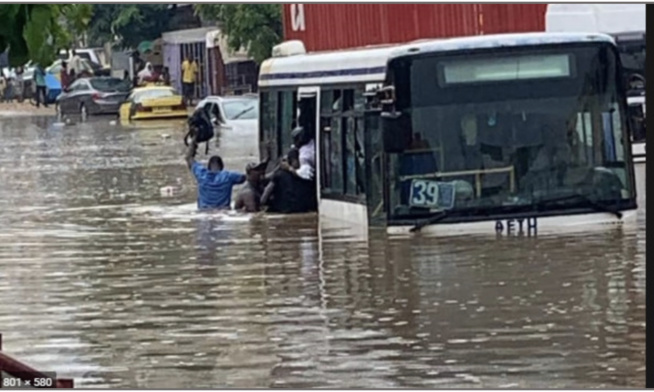 Hantise des mauvais jours : Plongée dans les zones inondables Hantise des mauvais jours : Plongée dans les zones inondables