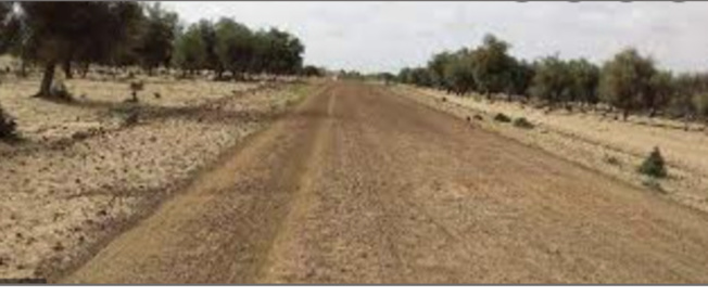 Hivernage : le calvaire des populations de Gourel Oumar Ly Hivernage : le calvaire des populations de Gourel Oumar Ly