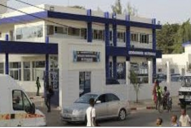 A quelques semaines de la Tabaski : Un couple roule dans la farine plusieurs éleveurs et propriétaires de bétail A quelques semaines de la Tabaski : Un couple roule dans la farine plusieurs éleveurs et propriétaires de bétail