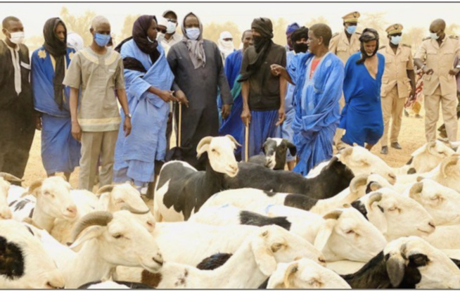 Tabaski 2022 : Les besoins en moutons estimés à 810.000 têtes Tabaski 2022 : Les besoins en moutons estimés à 810.000 têtes