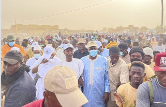 Préparatif des Législatives à Podor : Abdoulaye Daouda Diallo bat le rappel de ses troupes Préparatif des Législatives à Podor : Abdoulaye Daouda Diallo bat le rappel de ses troupes