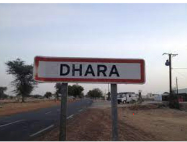 Difficiles conditions de vie précarité, soif, diktat des usuriers, au menu des Djolof-Djolof Difficiles conditions de vie précarité, soif, diktat des usuriers, au menu des Djolof-Djolof