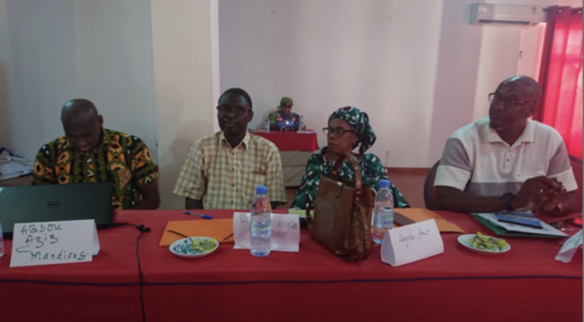 Mise en oeuvre de l'EPU / Plaidoyer pour un comité sénégalais fort : Les médias pour porter le combat