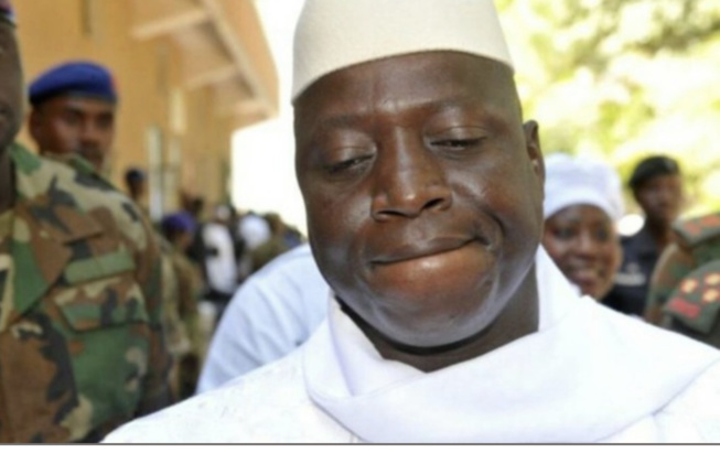 Des milliers de tonnes de bois de rose abattues entre le Sénégal et la Gambie : Yahya Jammeh sous la menace suisse Des milliers de tonnes de bois de rose abattues entre le Sénégal et la Gambie : Yahya Jammeh sous la menace suisse