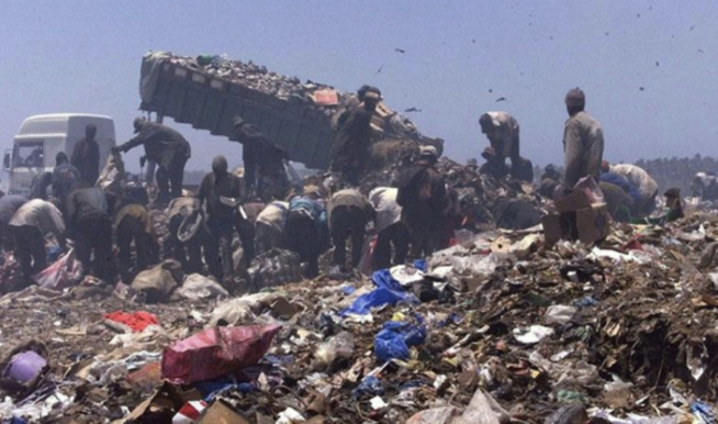 Décharge de Mbeubeuss-Touba Malika : Les riverains listent leurs doléances Décharge de Mbeubeuss-Touba Malika : Les riverains listent leurs doléances