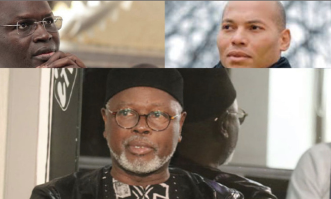 Alioune Tine: "La loi qui écarte Karim Wade et Khalifa Sall, est inique, il faut l'attaquer" Alioune Tine: "La loi qui écarte Karim Wade et Khalifa Sall, est inique, il faut l'attaquer"