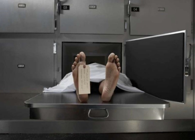 Meurtre à Touba gare bou Mag: Le tailleur Mame Gor Diouf sauvagement tué par un indic de la police Meurtre à Touba gare bou Mag: Le tailleur Mame Gor Diouf sauvagement tué par un indic de la police