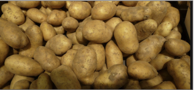 Approvisionnement du marché pour la tabaski : tension notée sur la pomme de terre Approvisionnement du marché pour la tabaski : tension notée sur la pomme de terre