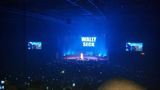 Youssou Ndour a désormais un véritable concurrent : Wally Seck Youssou Ndour a désormais un véritable concurrent : Wally Seck