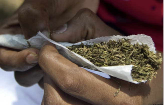 Le récidiviste Mor D. arrêté avec 15 cornets et 125g de drogue Le récidiviste Mor D. arrêté avec 15 cornets et 125g de drogue