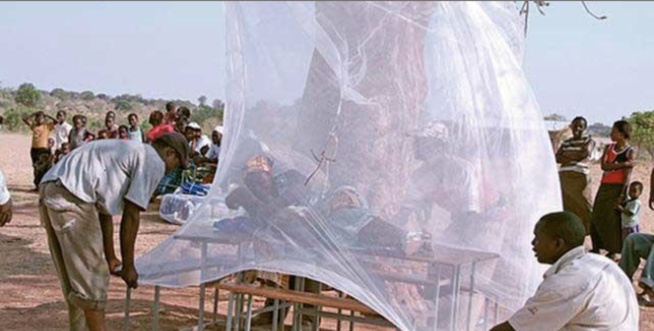 Kaolack : une campagne de prévention du paludisme cible plus de 70.000 enfants Kaolack : une campagne de prévention du paludisme cible plus de 70.000 enfants