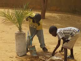 «BOIS D’ECOLE» Un espace d’enseignement-apprentissage sur l’environnement