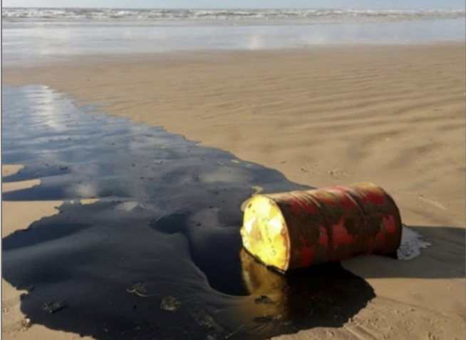Pollution par les hydrocarbures : Au Sénégal, plus de la moitié de la côte en sursis